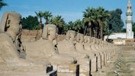 FlyNova isi atinge targetul de Revelion: a vandut peste 120 de pachete