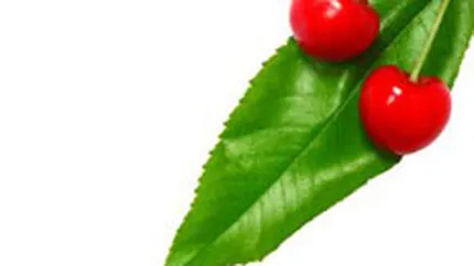 Romconserv: Vanzarile la conservele din fructe au scazut cu 30% in 2008