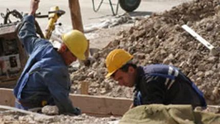 OCDE estimeaza peste 20 milioane de noi someri pana in 2010