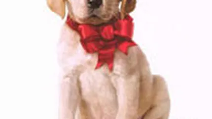 Marley and Me - lider in box office-ul din SUA, cu incasari de peste 24 mil. $