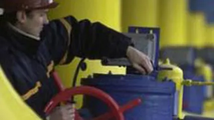 Videanu a declarat situatie de urgenta: O parte din industrie ar putea ramane fara gaze