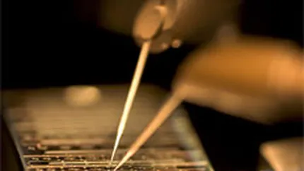 Intel, afectata puternic de recesiune: Vanzarile au scazut cu 23% in T4