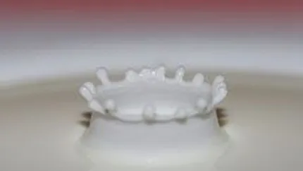 Concurenta a autorizat preluarea Raraul de catre Albalact