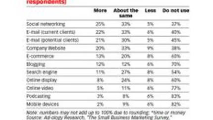 Retelele sociale devin mai atractive pentru promovarea companiilor mici din SUA