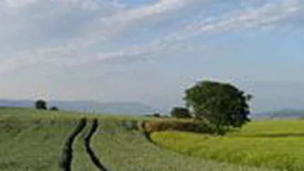 Vanzarile de produse ecologice ar putea creste cu 10% in 2009