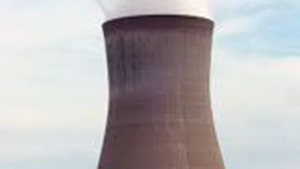 Nuclearelectrica va contracta servicii de manipulare si depozitare de 20 mil. euro