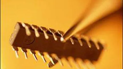 Vanzarile de cip-uri au scazut pentru prima oara din 2001