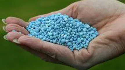 Niculae da drumul la combinate: Donau Chem si-a reluat luni activitatea