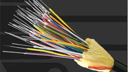 Sistec si-a crescut afacerile cu 28% in 2009, pana la 9 mil. euro