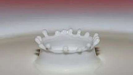 Peste 10% din capitalul Lacta Giurgiu a fost transferat miercuri pe Rasdaq