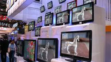 Flamingo: Piata de plasme si LCD-uri va stagna in 2009