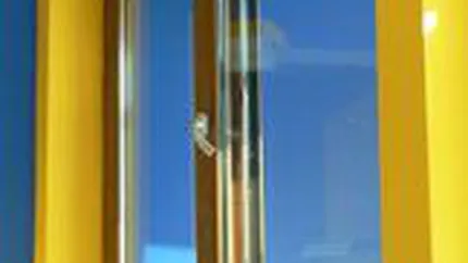 Afacerile Lipoplast Timisoara au crescut usor in 2008, la 6,5 mil. euro