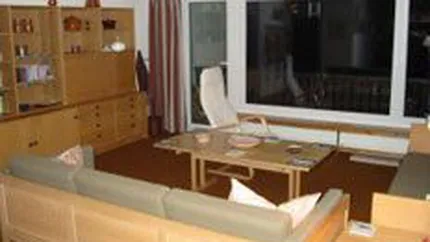 Zilisteanu: Locuintele s-ar putea ieftini cu 25% in 2009, daca nu se reia creditarea