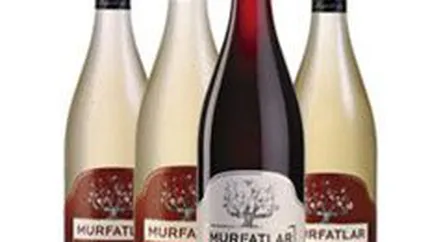 Murfatlar estimeaza o cifra de afaceri de 200 mil.lei in 2009