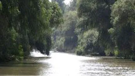 FT Deutschland: Delta Dunarii de inchiriat? Romania este neajutorata in fata crizei