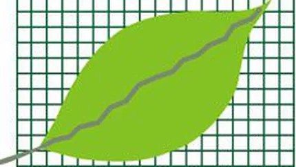 Bursa si-a accelerat cresterea dupa prima jumatate de ora, pe un rulaj de 5 ori mai mare