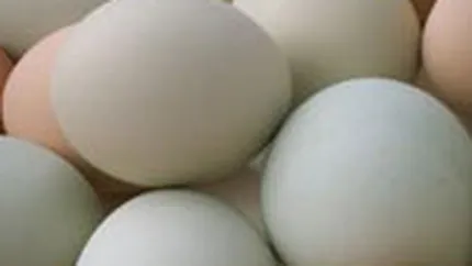 Avicola Iasi vrea sa ia credite de 10 milioane euro