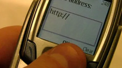 Cetatenii UE peste 55 de ani acceseaza pe Internet mobil in special site-uri meteo si financiare