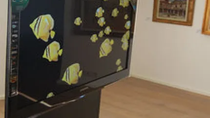 LCD-uri anti-criza: In primele 2 luni a crescut numarul de unitati vandute