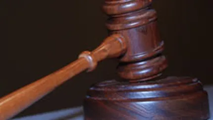 Ioana Maria Vlas ramane cu 10 ani de inchisoare in cazul FNI