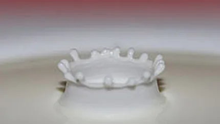 INS: Productia de lapte a scazut cu 7,4% in 2008