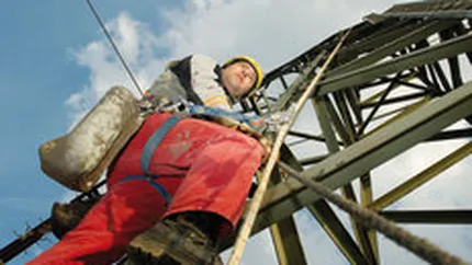 Elvetienii de la Alpiq au preluat furnizorul roman de electricitate EHOL