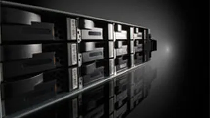 EMC ridica oferta de preluare a rivalului Data Domain cu 10%, pana la 1,98 mld. $