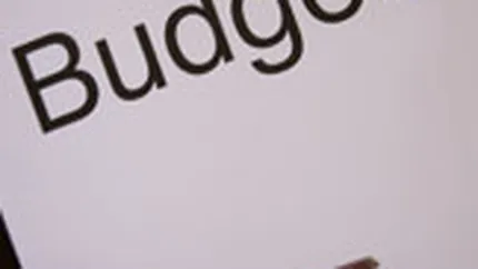 Elena Serban, Albalact: Bugetele de publicitate vor incepe sa creasca in 2011-2012