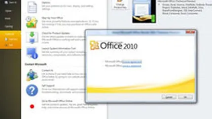 Atac la Google: Microsoft Office 2010 va fi disponibil gratuit online