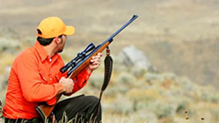 O asociatie de vanatoare din Bihor va gestiona domeniul de la Balc, in locul lui Tiriac