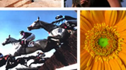 Agentia de turism TravelBiz a inregistrat venituri in crestere cu 7% in S1