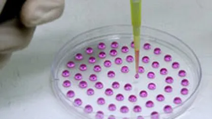 Lowe PR si-a adjudecat contul Stem Health Unirea