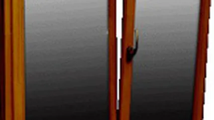 Capital: 10% din producatorii de termopane si-au inchis afacerile in S1