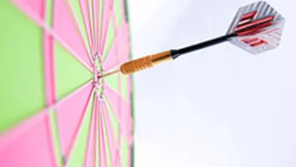 Consultanta de marketing pentru IT, estimata la 30 mil. euro in 2009