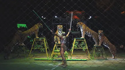 Circul Globus cumpara 3 corturi cu 136.000 euro