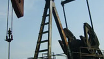 FMI: PIB-ul tarilor exportatoare de petrol din Golf va creste cu 5,2% in 2010