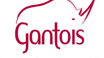 Firma franceza Gantois isi muta productia din Romania in Franta