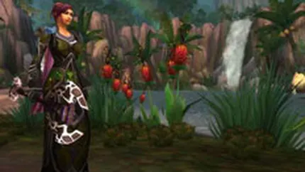 Microsoft: Gamerii online, noua tinta a virusilor informatici