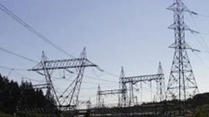 Audit de 600.000 euro pentru infiintarea mamutului energetic Electra