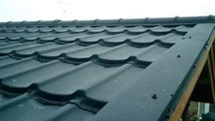 Producatorul suedez de profile din tabla Plannja deschide prima sa linie de fabricatie din Romania