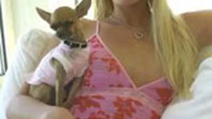 \Inflatie\ de chihuahua in California