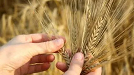 Venitul in agricultura s-a redus in 2009 cu 15,1% in Romania, a 11-a scadere din UE