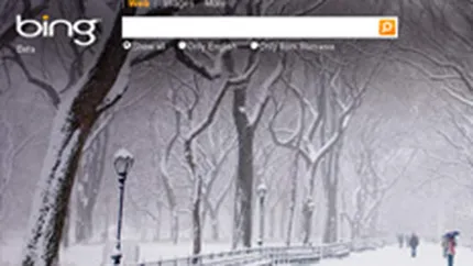 Microsoft, data in judecata pentru incalcarea drepturilor asupra marcii comerciale \Bing\