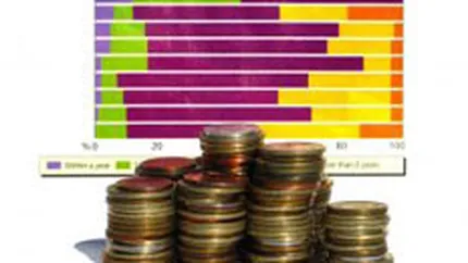 Companiile din sectorul financiar au atras cele mai multe fonduri de la grupurile mama la 10 luni