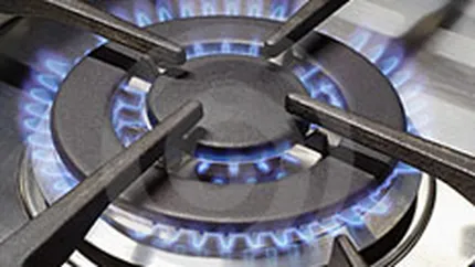 ANRE: Pretul gazelor naturale ar putea fi mentinut in 2010, in anumite conditii