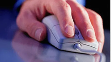 Wizrom Software a inregistrat o scadere de 5% a cifrei de afaceri in 2009