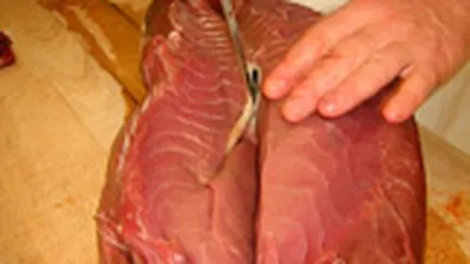 CE a propus interzicerea comertului international cu ton rosu