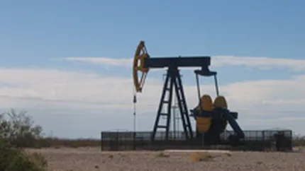 Concurenta vrea sa finalizeze anul acesta investigatia pe piata produselor petroliere