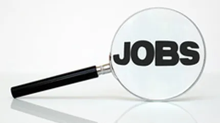 ANOFM: Peste 8.600 de joburi sunt disponibile pana pe 4 martie