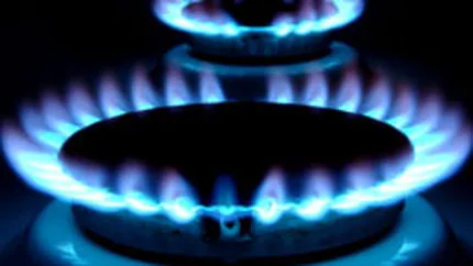 Tranzgaz vrea sa participe la reteaua europeana de transport al gazelor ENTSOG